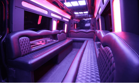 Knoxville 14 Passenger Sprinter Bus Interior