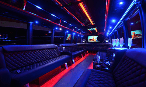 Knoxville 30 Passenger Party Bus Black Interior